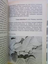 Kestävimmät ruukkukasvimme