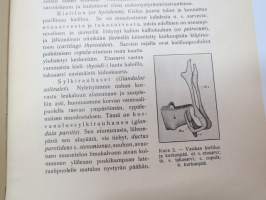 Eläintieteellisiä leikkelyharjoituksia. Imettäväisen pää, hengityselimet ja sydän - Vanamon kirjasia nr 7 -mammal anatomy