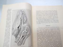 Eläintieteellisiä leikkelyharjoituksia. Imettäväisen pää, hengityselimet ja sydän - Vanamon kirjasia nr 7 -mammal anatomy