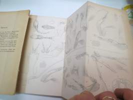 Beiträge  zur Anatomie un Histologie von cuma Rathkii kr. - Inaugural-Dissertation zur Erlangung der doctorwürde der philosophischen Facultät der