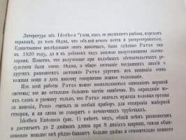 Anatomija morskavo tarkana, idothea entomon i perezen rakoobrasnih, katorija vstrezajutsa v vodah c. Peterburgskoi guvernii