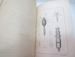 Spisok hemiptera-heteroptera Latr., sobrannih preimysestvenno v harkov i evo okrestnostjah