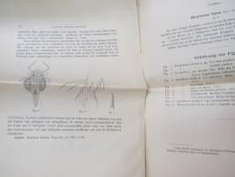 Collembola - Bearbeitet von W. Linnaniemi - Sapiskii Rossiskoi Akademii Nauk - Mémoires de l´academie des sciences de Russie VIII Serie. Classe