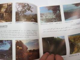 Syria - Ministry of tourism (Syyria) matkailuesite - kartta / travel brochure