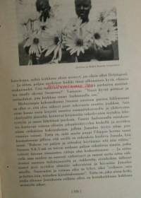 Kirkon nuoriso 1937- kesänumero