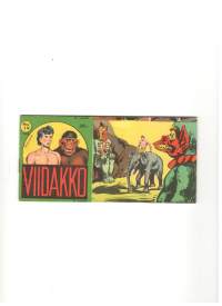 Viidakko no 19 1962