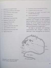 Bergholmen i Åbo - Ett maritimt lokalsamhälle och dess omvandling