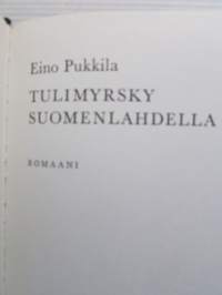Tulimyrsky Suomenlahdella