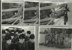 Musta karvahattu, pussihousut panssarimiehiä  - valokuva 7x10 cm 5 kpl
