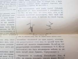 Новья дания по фаун коллембола Московской гиберной в застности ея жусной окраины - Novia daniya