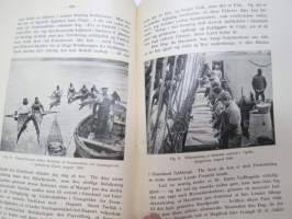 Fiskeriundersögelser i Grönland 1908 &amp; 1909 (Särtryck af &quot;Atlanten&quot; nr 82 -kalastustutkimuksia Grönlannissa / fishing studies in Greenland