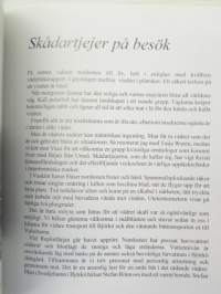 Våren