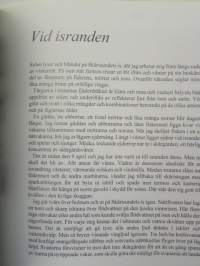 Våren