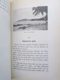 Under hegel till Antipoderna - Anteckningar från en färd till oceanien