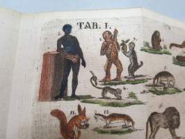 Handbuch der Naturgeschichte des Thierreichs für die obern Klassen, auf für dijenigen, die sich einen Ueberblick desselben zu veschaffen wünschen, mit dazu