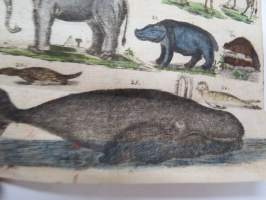 Handbuch der Naturgeschichte des Thierreichs für die obern Klassen, auf für dijenigen, die sich einen Ueberblick desselben zu veschaffen wünschen, mit dazu
