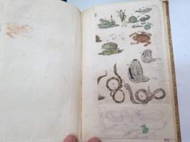 Handbuch der Naturgeschichte des Thierreichs für die obern Klassen, auf für dijenigen, die sich einen Ueberblick desselben zu veschaffen wünschen, mit dazu