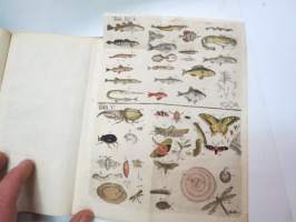 Handbuch der Naturgeschichte des Thierreichs für die obern Klassen, auf für dijenigen, die sich einen Ueberblick desselben zu veschaffen wünschen, mit dazu