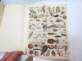 Handbuch der Naturgeschichte des Thierreichs für die obern Klassen, auf für dijenigen, die sich einen Ueberblick desselben zu veschaffen wünschen, mit dazu