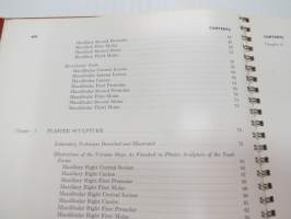 An Atlas of Tooth Form