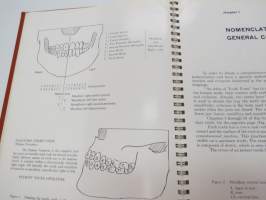 An Atlas of Tooth Form