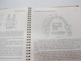An Atlas of Tooth Form