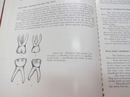 An Atlas of Tooth Form