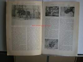 Valo  vihko  21