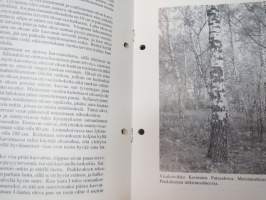 Juuret huomiseen opintoaineistokansio (2002) - Visakoivu / Virtasen visaopas / Kokemuksia visakoivun kasvatuksesta (1951) -curly birch farming