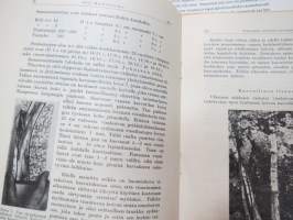 Juuret huomiseen opintoaineistokansio (2002) - Visakoivu / Virtasen visaopas / Kokemuksia visakoivun kasvatuksesta (1951) -curly birch farming