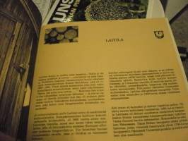 Laitila -kuvateos