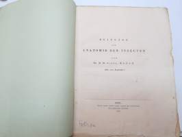 Beiträge zur Anatomie der Insecten von H.M. Gaede (Mit einer Kupfertafel.) 1823 -scientific publication