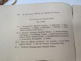 Beiträge zur Anatomie der Insecten von H.M. Gaede (Mit einer Kupfertafel.) 1823 -scientific publication