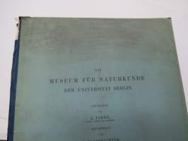 Das Museum für Naturkunde der Universität Berlin - Entworfen von A. Tiede, Mitgtheilt von F. Kleinwächter, Mit Abbildungen in Holzschnitt und 6 Kupfertafeln