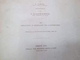 Das Museum für Naturkunde der Universität Berlin - Entworfen von A. Tiede, Mitgtheilt von F. Kleinwächter, Mit Abbildungen in Holzschnitt und 6 Kupfertafeln