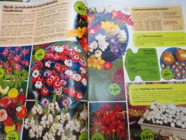 Oy L. Stassen Junior Ab kukkasipulit ym. 1974 voorjaar / früjahr / printemps / primavera / våren / kevät -tuoteluettelo -bulb catalog
