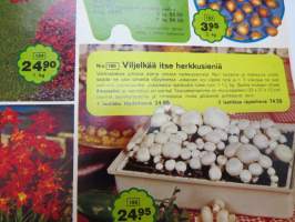 Oy L. Stassen Junior Ab kukkasipulit ym. 1974 voorjaar / früjahr / printemps / primavera / våren / kevät -tuoteluettelo -bulb catalog