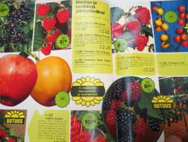 Oy L. Stassen Junior Ab kukkasipulit ym. 1974 voorjaar / früjahr / printemps / primavera / våren / kevät -tuoteluettelo -bulb catalog