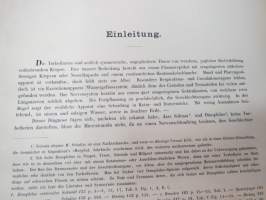 Monographie der Turbellarien I. Rhabdocoelida. -lahjoituskappale Helsingin Yliopiston Zoologian laitokselle, numeroitu 000028, &quot;Graz, 25. Mai 1909&quot;