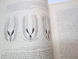 Monographie der Turbellarien I. Rhabdocoelida. -lahjoituskappale Helsingin Yliopiston Zoologian laitokselle, numeroitu 000028, &quot;Graz, 25. Mai 1909&quot;