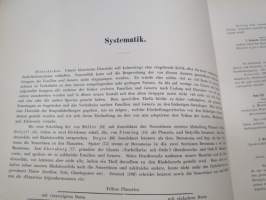 Monographie der Turbellarien I. Rhabdocoelida. -lahjoituskappale Helsingin Yliopiston Zoologian laitokselle, numeroitu 000028, &quot;Graz, 25. Mai 1909&quot;