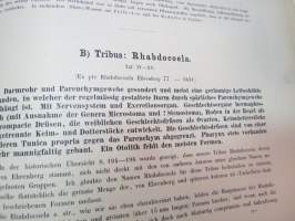 Monographie der Turbellarien I. Rhabdocoelida. -lahjoituskappale Helsingin Yliopiston Zoologian laitokselle, numeroitu 000028, &quot;Graz, 25. Mai 1909&quot;