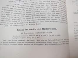 Monographie der Turbellarien I. Rhabdocoelida. -lahjoituskappale Helsingin Yliopiston Zoologian laitokselle, numeroitu 000028, &quot;Graz, 25. Mai 1909&quot;