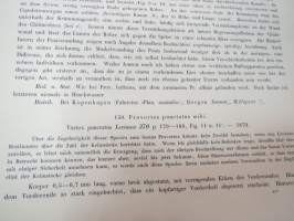 Monographie der Turbellarien I. Rhabdocoelida. -lahjoituskappale Helsingin Yliopiston Zoologian laitokselle, numeroitu 000028, &quot;Graz, 25. Mai 1909&quot;
