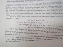 Monographie der Turbellarien I. Rhabdocoelida. -lahjoituskappale Helsingin Yliopiston Zoologian laitokselle, numeroitu 000028, &quot;Graz, 25. Mai 1909&quot;