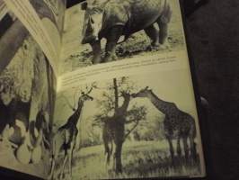 Afrikan safari - Autolla Afrikan ympäri