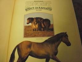 Maailman hevoset - Rodut ja kasvatus