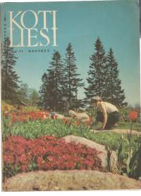 Kotiliesi 1962 nr 11 Kansi Kevättulppaanit, voiko oppia rakastamaan, talo isältä pojalle,marjakauden herkkuja, kevyttä kesäruokaa kesän juhliin, kylvämme