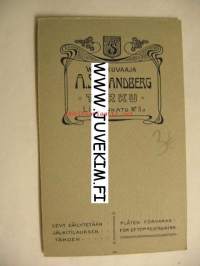 Pappiskuva A. Stranberg Åbo/Turku -visiittikorttivalokuva
