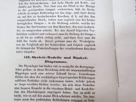 Hippologische Beiträge, vom Akadem. A. von Middendorff (Mit drei lithographirten Tafeln.) 16 / 28 Märtz 1855 St. Petersbourg -tieteelliseen sarjajulkaisuun